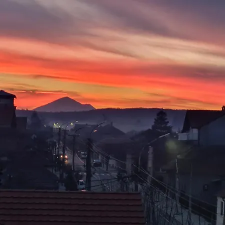 Grey & Sunny * Заечар