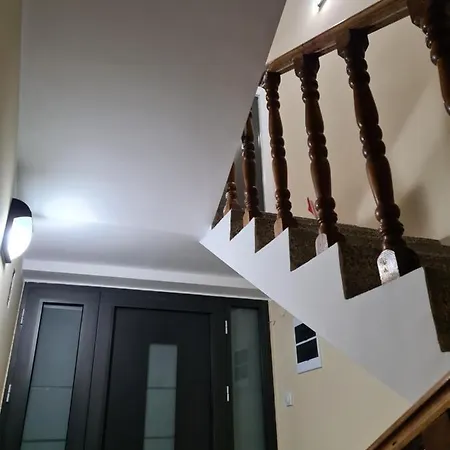 Grey & Sunny * Заечар