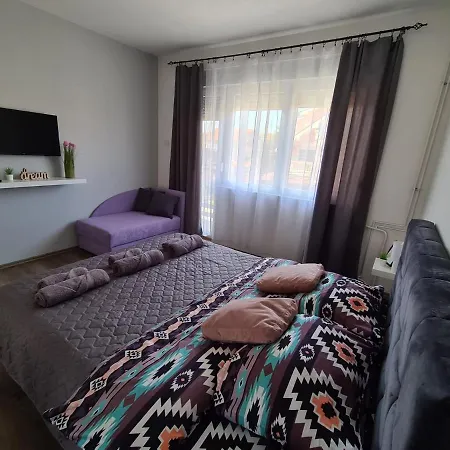 Grey & Sunny * Заечар