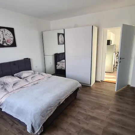 Grey & Sunny * Zajecar