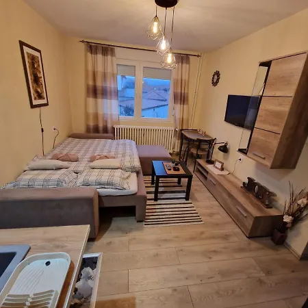 Apartman Grey & Sunny Zajecar