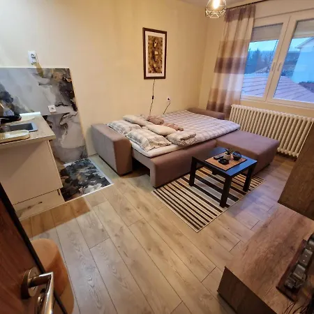 Apartment Grey & Sunny Zaječar