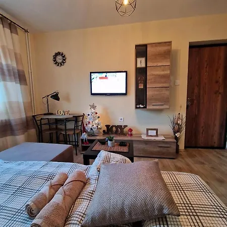 Apartman Grey & Sunny *